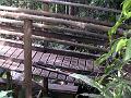 17a - Parc des Mamelles - Zoo 023